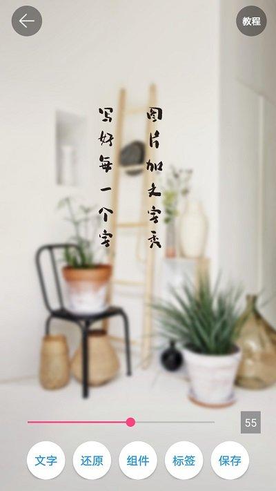 图片加文字秀最新版下载,图片加文字秀,特效app,后期app